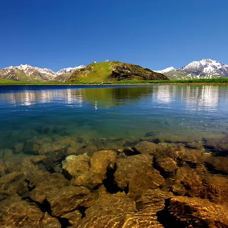Helvetia *
